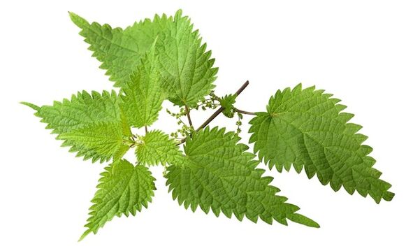 Prostovit will receive nettle extract