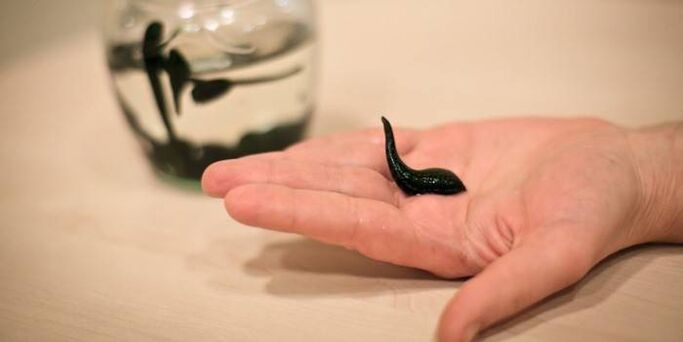 Treatment of leeches