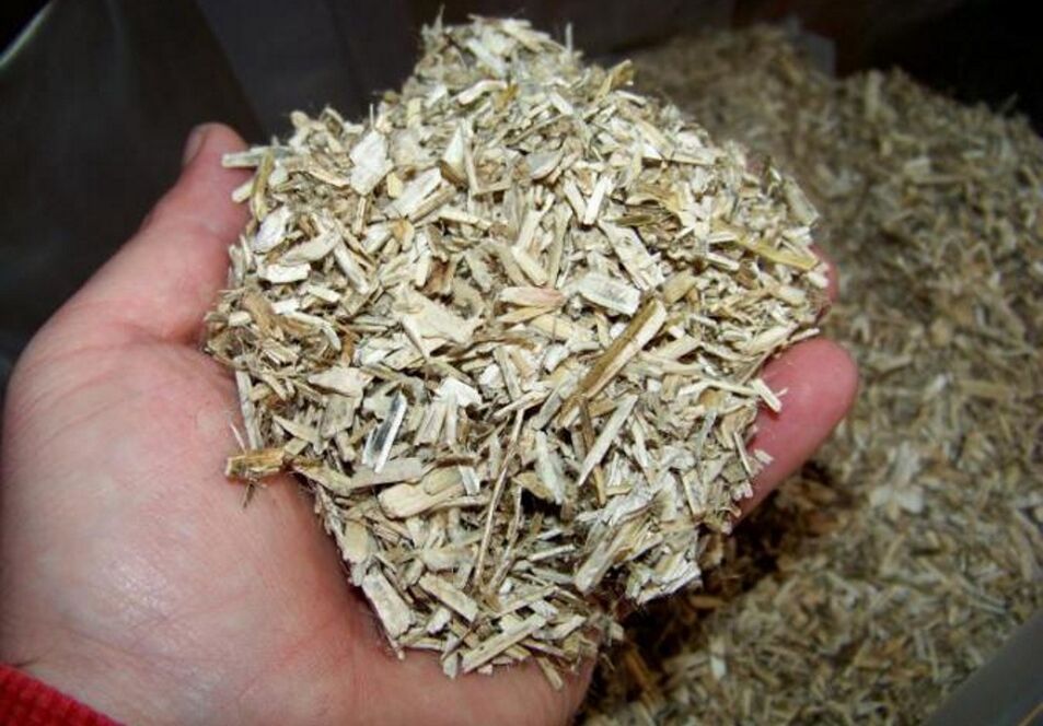 Aspen bark for the preparation of medicinal tincture for prostatitis in men