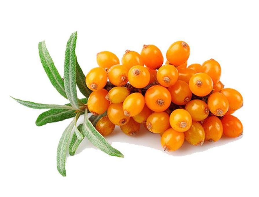 Sea buckthorn, which normalizes the work of the prostate during prostatitis